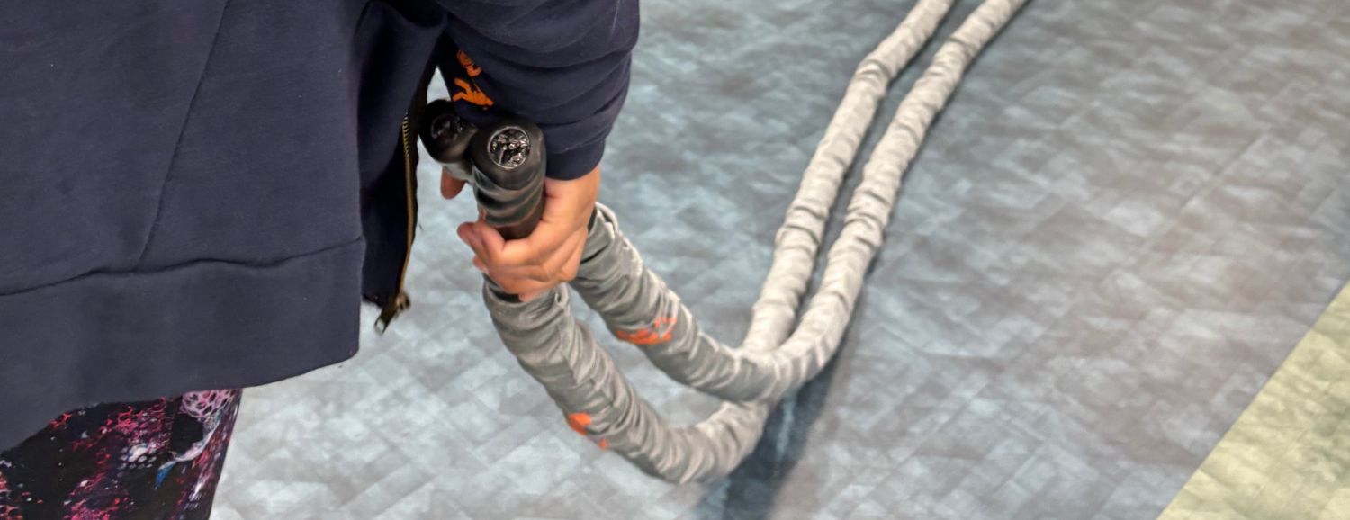 program regs resize (600 × 231 px) (22)